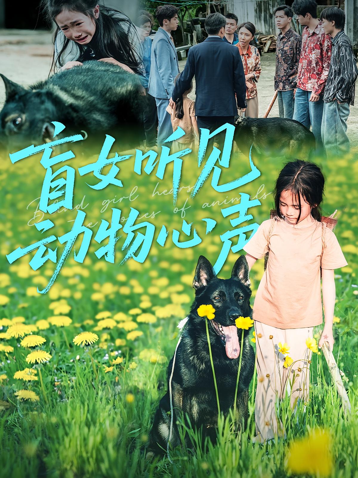 盲女听见动物心声