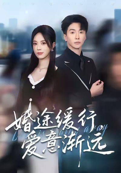 婚途缓行，爱意渐远(全集)