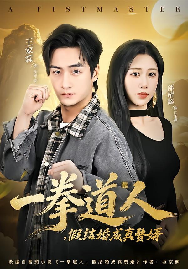 一拳道人，假结婚成真赘婿